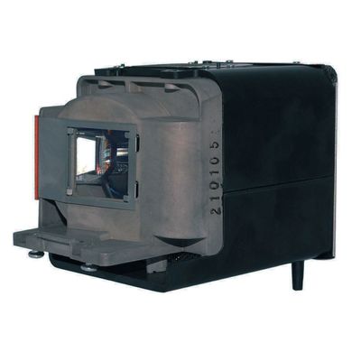 Advanced Lamps Lamp & Housing for The BenQ W1100 Projector