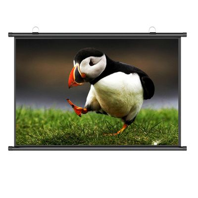 Xnyaizyc Portable Projector Screen 60 72 80 Inch, Wall & Ceiling Mounted HD Projection Screen with 4:3 Ratio 16:9 Ratio, Movie Screen for Home School Cinema Theater Outdoor Indoor (Size : 60" (4:3))