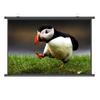 Xnyaizyc Portable Projector Screen 60 72 80 Inch, Wall & Ceiling Mounted HD Projection Screen with 4:3 Ratio 16:9 Ratio, Movie Screen for Home School Cinema Theater Outdoor Indoor (Size : 60" (4:3)) view 1