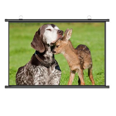 Xnyaizyc Portable Projector Screen, 60/72/80 Inch Projection Screen, Outdoor Retractable Movies Screens 16:9 4:3 Wrinkle-Free, for Home Cinema, Meeting Presentation (Size : 60" (16:9))