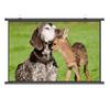 Xnyaizyc Portable Projector Screen, 60/72/80 Inch Projection Screen, Outdoor Retractable Movies Screens 16:9 4:3 Wrinkle-Free, for Home Cinema, Meeting Presentation (Size : 60" (16:9)) view 1