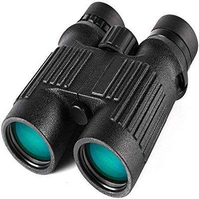 Binoculars Hig - -Definition Outdoor Travel (Size : 10x42) (Size : 10x42) (10x42) (10x42)