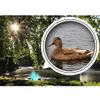 RFJYGWQM Outdoor Camping Binoculars Highdefinition Coating Waterproof Fishing Camping Climbing Mirror 10X42 (10X42) view 3