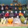 BELECO 12x8ft Fabric Vegetables and Fruits Backdrop Farm Market Harvest Exhibition Background for Themed Party Decorations Thanksgiving Photo Shoot Studio Props view 2