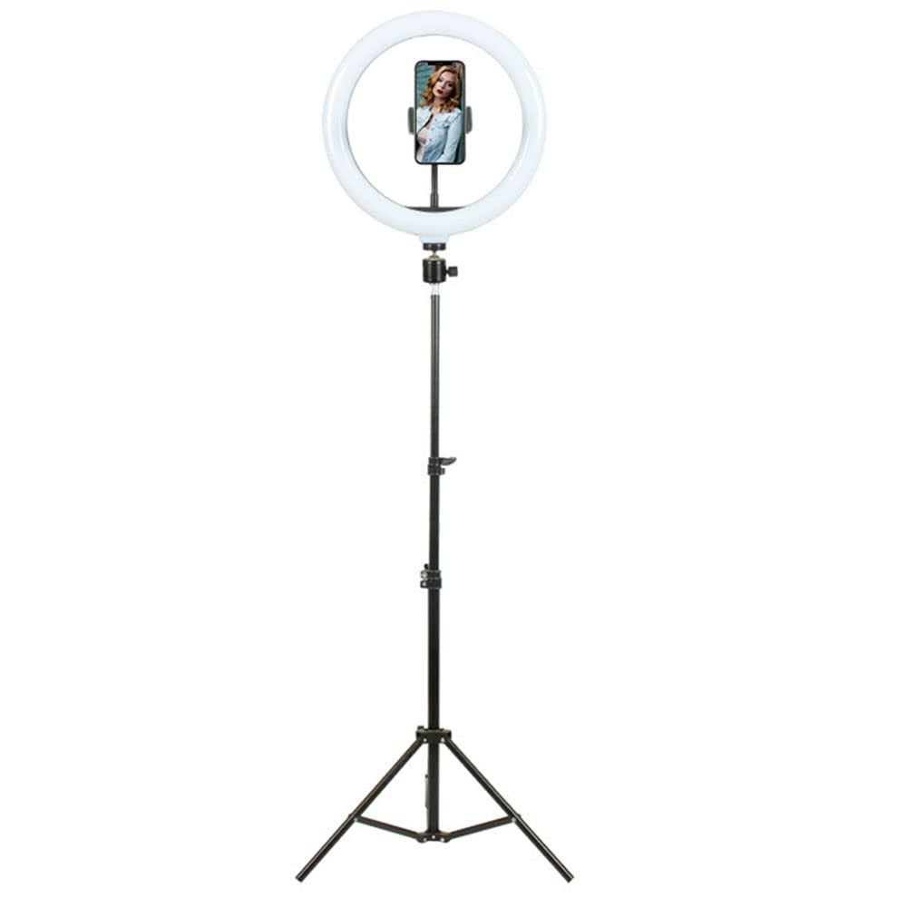 SXAYTLH LED Ring Fill Light Live Lighting Lamp Ring Fill Light Selfie Photography Mobile Phone Floor Stand,30cm lamp,2.1m Bracket