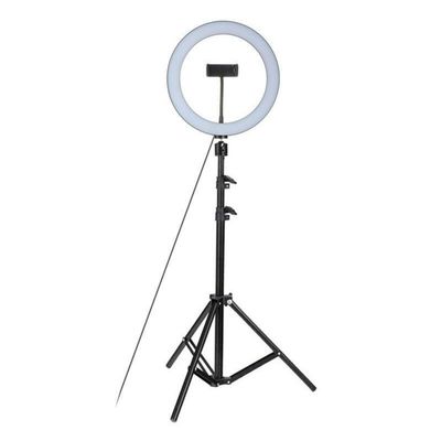DirectNine Basics Ring Light Kit with Phone Holder and Foldable Tripod - 26cm Studio Live Led Ring Light for Beauty Photography and Selfies, Adjustable 360 Rotation