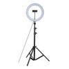 DirectNine Basics Ring Light Kit with Phone Holder and Foldable Tripod - 26cm Studio Live Led Ring Light for Beauty Photography and Selfies, Adjustable 360 Rotation view 1