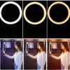 DirectNine Basics Ring Light Kit with Phone Holder and Foldable Tripod - 26cm Studio Live Led Ring Light for Beauty Photography and Selfies, Adjustable 360 Rotation view 3