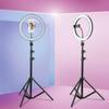 DirectNine Basics Ring Light Kit with Phone Holder and Foldable Tripod - 26cm Studio Live Led Ring Light for Beauty Photography and Selfies, Adjustable 360 Rotation view 4