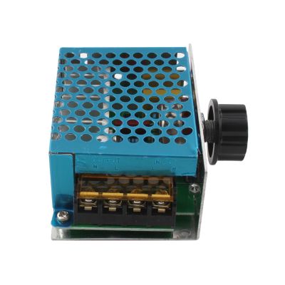AC 4000W 2000W Voltage Regulator 220V Motor Dimmer Speed Controller 220V to 12V 24V Transformer Thermostat Electronic Module (Color : 4000W)