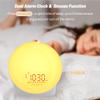 iEasy Wake up Light Sunrise Alarm Clock for Everyone, Sunrise Sunset Simulation, Sleep Aid, Dual Alarms, FM Radio, Snooze, Nightlight13 Colors 23 Sleep Sounds 28 Built-in Alarm Tone 32 Volumes Gift view 2