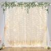 10ft x 10ft Champagne Tulle Backdrop Curtain with Lights String for Parties Wedding Bridal Shower Sheer Champagne Curtain Backdrop for Birthday Party Baby Shower Photo Booth Decorations view 2