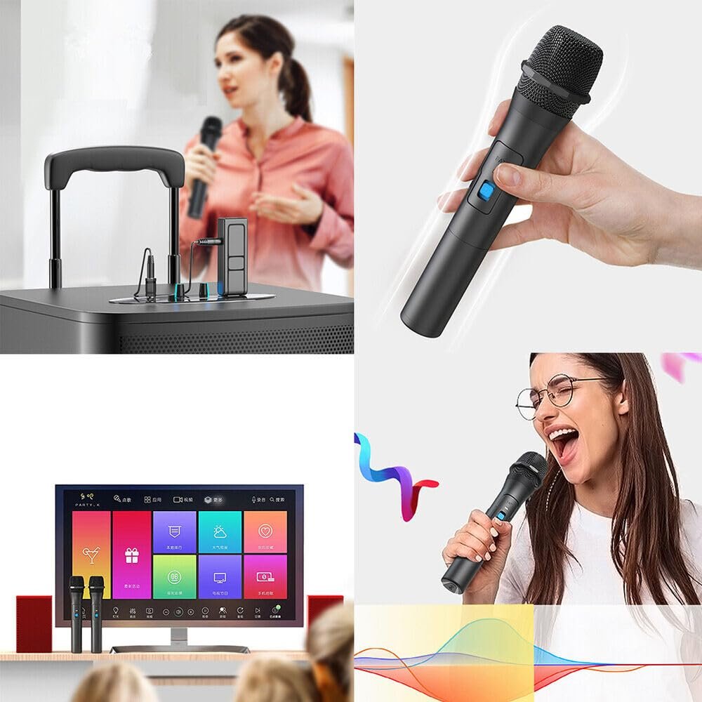 BudgetBundles US Professional VHF Wireless Microphone Handheld Mic System Karaoke W/Receiver
