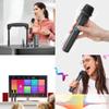 BudgetBundles US Professional VHF Wireless Microphone Handheld Mic System Karaoke W/Receiver view 2