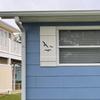 Flying Bird Beach House Shutter, Seagull Outdoor Decor, Sold Individually (Width: 11.5, Height: 57) view 4