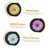 3pcs Privacy Cover - Cover Cover Webcam Privacy Covers Slide Blocker Abs Privacy Lens Protector Webcam Blocker Shield Cover Webcam Lens Cover view 4