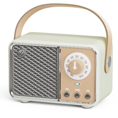 Dosmix Retro Bluetooth Speaker, Vintage Decor, Wireless Bluetooth Speakers, Cute Old Fashion Style for Kitchen Desk Bedroom Office Party Outdoor Kawaii Accessories (Smoke Green)