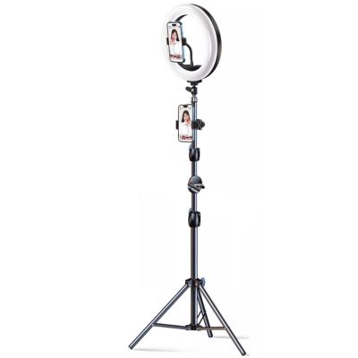 10 Inches Ring Light Kit with 2 Cell Phone Holders Photography Circle Lighting Led Photo Fill Light for Live Stream