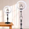 10 Inches Ring Light Kit with 2 Cell Phone Holders Photography Circle Lighting Led Photo Fill Light for Live Stream view 3