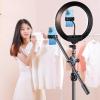 10 Inches Ring Light Kit with 2 Cell Phone Holders Photography Circle Lighting Led Photo Fill Light for Live Stream view 4