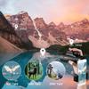 Monocular Telescope, 12X50 High Power HD Monocular with Phone Holder Tripod - Waterproof Durable and Clear FMC BAK4 Prism for Bird Watching Camping Hiking Match Double The Comfort view 3