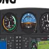 DirectNine Basics Diamond Aircraft DA40NG Garmin 1000 Cockpit Training Poster 24""x36"", White view 2