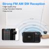Gelielim Radio Portable AM FM with Bluetooth Loud Speaker, Radio Plug in Wall or Battery Powered Best Reception for Home or Outdoor, Earphone Jack, Large Dial Easy to Use, Great Gfits for Seniors view 2