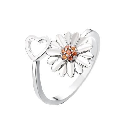 BTAKANPP Dragon Rings for Women Adjustable Anxiety Relieving Pressure Relieving Silver Plated Zircon Popular (E, 4cmX1cmX6cm)