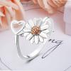 BTAKANPP Dragon Rings for Women Adjustable Anxiety Relieving Pressure Relieving Silver Plated Zircon Popular (E, 4cmX1cmX6cm) view 2