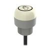 K30APT2FXGF2, 1-Input-Color Touch Sensor, Gen 2, 12-30Vdc; Housing: FDA Copolyester, Input: PNP NO, Colors: None-Power Applied, Green-Input Active, 2m Integral Cable, 96659 view 1