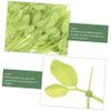 100pcs Leaf-shaped Nylon Zip Ties Heavy Duty Cable Ties for Plants Wire Management Durable Colorful for Indoor Outdoor Use Decorative and Practical Nylon Wire Straps view 2