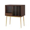 AEYSD-456 Vinyl Record Storage Record Storage Rack Cabinet Metal Movable Sliding Door Record Crate view 1