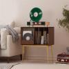 AEYSD-456 Vinyl Record Storage Record Storage Rack Cabinet Metal Movable Sliding Door Record Crate view 2