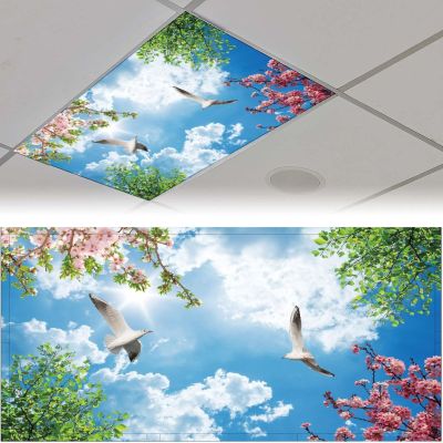 2PCS Magnetic Fluorescent Light Covers for Classroom Ceiling Lights - Decor Filters 4x2Feet (Dove)