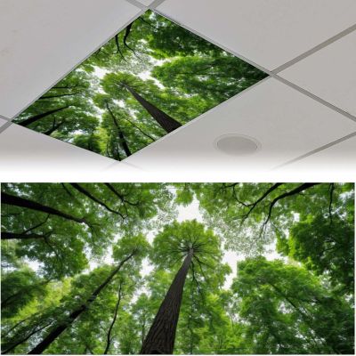 2PCS Magnetic Fluorescent Light Covers for Classroom Ceiling Lights, Filters for School, Home, Office - Drop Ceiling Lamp Decor - 4x2Feet (Forest)