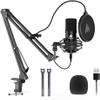 DirectNine Basics USB Microphone, 192KHZ/24Bit Plug & Play PC Computer Podcast Condenser Cardioid Metal Mic Kit with Professional Sound Chipset for Recording, Gaming, Singing, YouTube (AU-A04) view 1