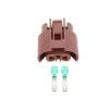 KOGORA Automotive Electrical connectors 2 Pin 9006 Fog Lights 6 pl;/UG Connector Near Light Lamp Holder DJZ7029Y-2.8-21(10 Sets) view 1