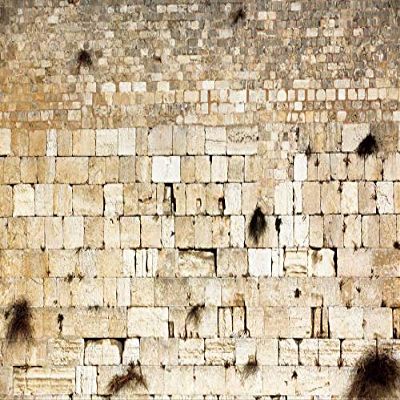 Pnylzzyxh Jerusalem Wailing Wall & Western Wall Old City Backdrop for Theme Portrait Photography - 12x10ft Banner