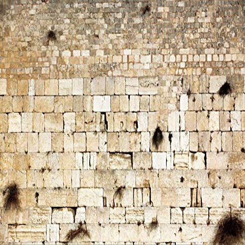 Pnylzzyxh Jerusalem Wailing Wall & Western Wall Old City Backdrop for Theme Portrait Photography - 12x10ft Banner