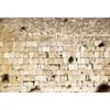 Pnylzzyxh Jerusalem Wailing Wall & Western Wall Old City Backdrop for Theme Portrait Photography - 12x10ft Banner view 2