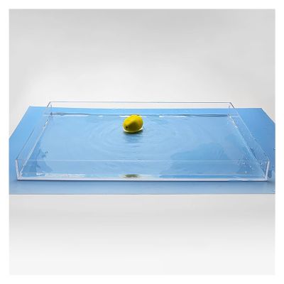 Acrylic Display Case, Floating Photo Props,Clear Shallow Water Tank, Portable Food Cosmetic Storage Box,Low Shallow Fish Tank (Color : 3mm-Clear, Size : 30x25x5cm)