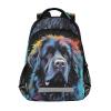 ALAZA Newfoundland Dog Backpacks Travel Laptop Daypack School Book Bag for Men Women Teens Kids view 1