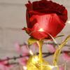 HOOTNEE Elegant Led Rose Lantern Glass Unique Home Decor Ideal Present for Girlfriend's Birthday view 2