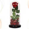 HOOTNEE Elegant Led Rose Lantern Glass Unique Home Decor Ideal Present for Girlfriend's Birthday view 3