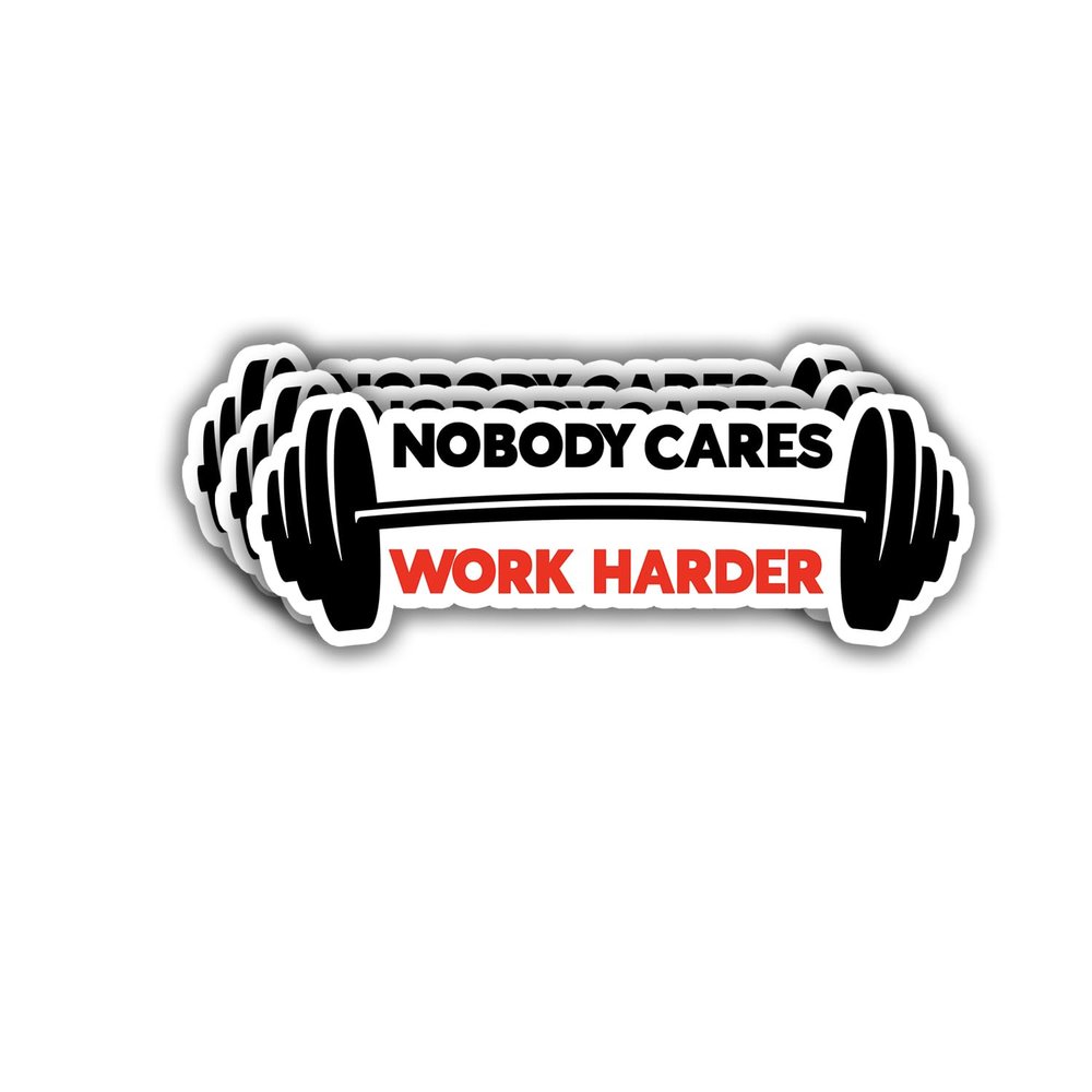 (3pcs) Nobody Cares Work Harder Sticker Motivational Sayings Inspirational Quotes Vinyl Decal Stickers for Tumbler Kindle Laptop Water Bottles Phone Books - Size 3x1.1