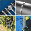 100PCS Metal Zip Ties - 304 Stainless Steel 10mm Wide Metal Zip Ties Heavy Duty OutdoorSelf-Locking Stainless Steel Zip TiesSuitable for Machinery, Vehicles, Farms, Cables, Pipelines, Fences(100mm) view 4