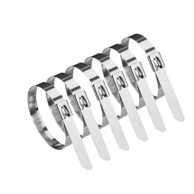 100PCS 304 Stainless Steel Metal Zip Ties - 12mm Wide Metal Zip Ties Heavy Duty OutdoorSelf-Locking Stainless Steel Zip TiesSuitable for Machinery, Vehicles, Farms, Cables, Pipelines, Fences(300mm)