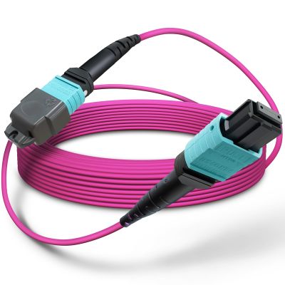 Banguptical 20ft OFNP MTP/MPO Fiber Cable 12 Strand Female, MTP to MTP OM4 Multimode Fiber Optic Ptach Cord, Type B Plenum MTP Jumpers