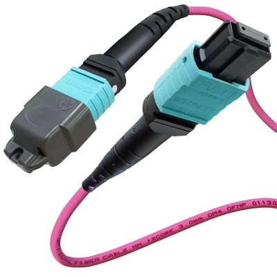 Banguptical 10ft OFNP MTP/MPO Fiber Cable 12 Strand Female, MTP to MTP OM4 Multimode Fiber Optic Ptach Cord, Type B Plenum MTP Jumpers