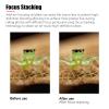 AstrHori Macro Focusing Rail Slider with Arca Quick Release Plate,Quick Adjustment Close-Up and Macro Photography Precise Focus Rail,Detachable Feet,Universal Camera Compatibility,AH-MGA170 view 4
